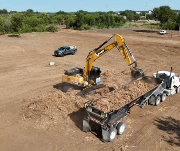 land clearing (6)